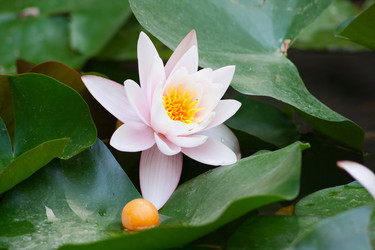 Similar image 334243