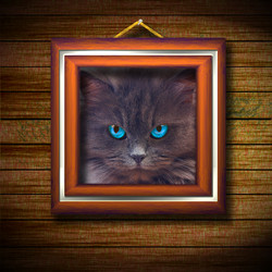 Similar image 334258