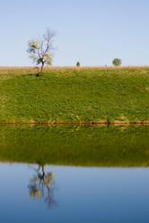 Similar image 334310