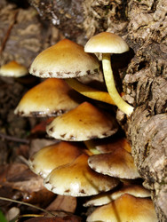 Similar image 334316