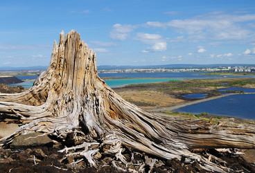 Similar image 334325