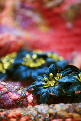 Similar image 334503