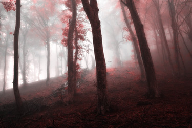 Similar image 334604