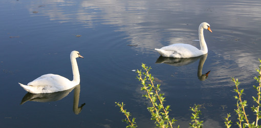 Similar image 334676