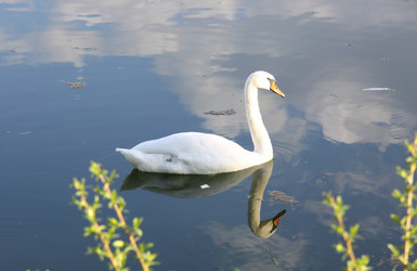 Similar image 334677