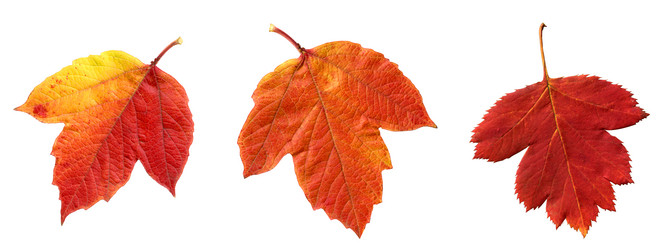 Similar image 334695