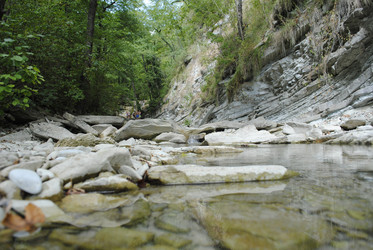 Similar image 334862