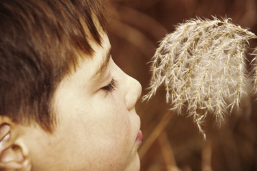 Similar image 334948