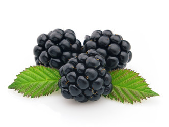 Similar image 334958