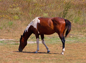 Similar image 334985