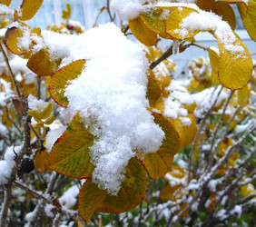 Similar image 335052