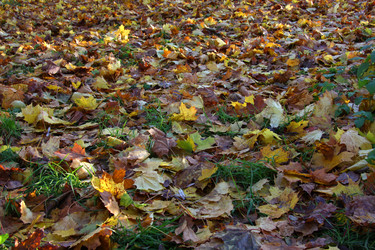 Similar image 335053