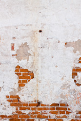 Similar image 335347