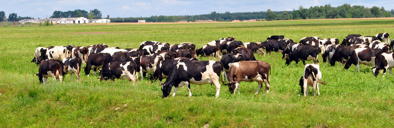 Similar image 335458