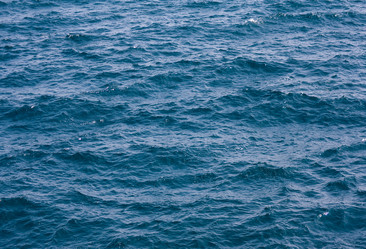 Similar image 335955