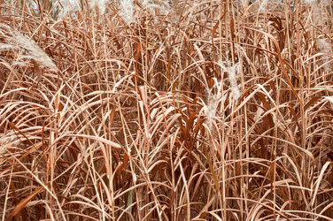 Similar image 335956