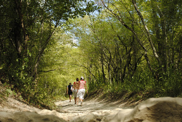 Similar image 336042