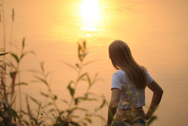 Similar image 336051