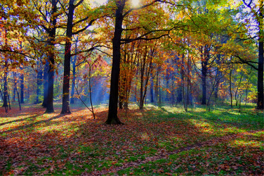 Similar image 336084