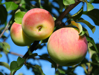 Similar image 336197