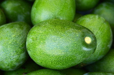 Similar image 336208