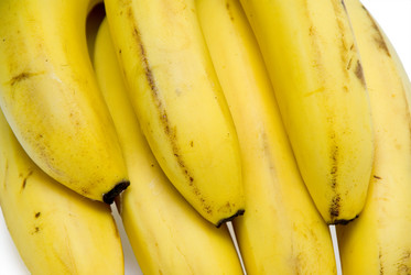 Similar image 336226