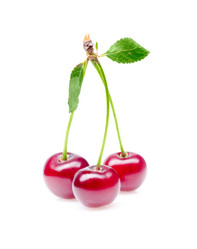 Similar image 336235