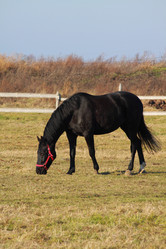 Similar image 336288