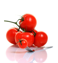 Similar image 336365