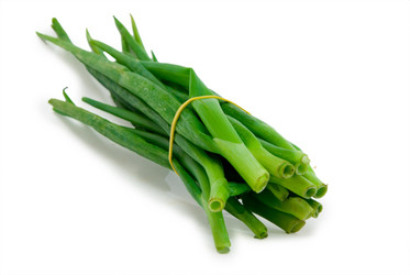 Similar image 336387