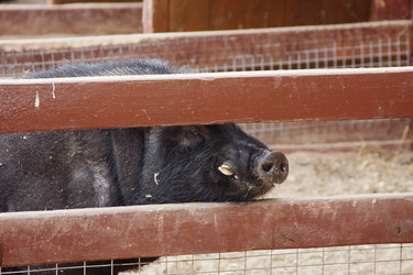 Similar image 336412