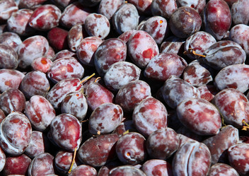 Similar image 336454