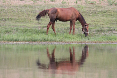 Similar image 336465