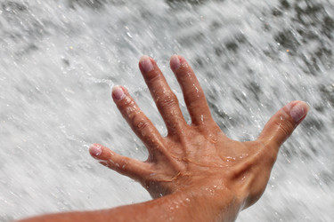 Similar image 336469