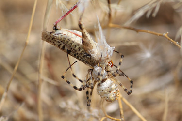 Similar image 336472