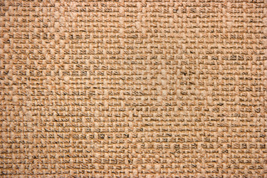 Similar image 336490