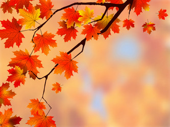 Similar image 336598