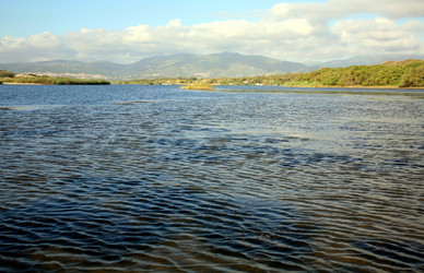 Similar image 336729