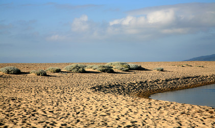 Similar image 336731