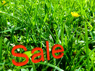 Similar image 336752