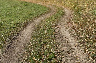 Similar image 336854