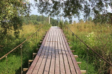 Similar image 336858