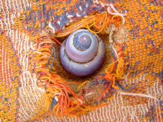 Similar image 337050