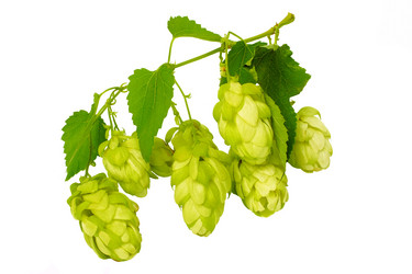 Similar image 337112