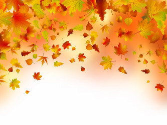 Similar image 337521