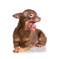 Similar image 337619