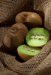 Similar image 337725