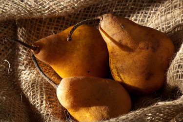 Similar image 337732