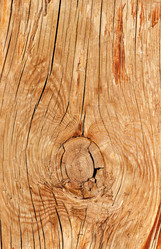 Similar image 337733