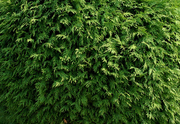 Similar image 337948